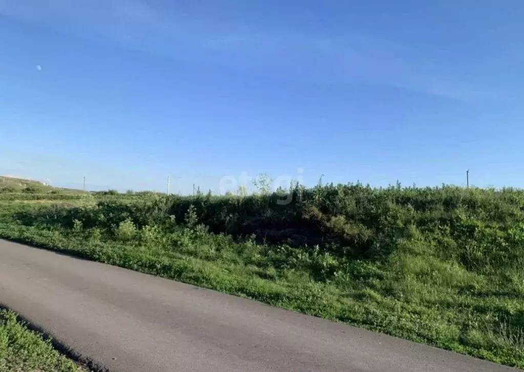 Участок в Воронежская область, Нижнедевицкий район, Верхнетуровское ... - Фото 1