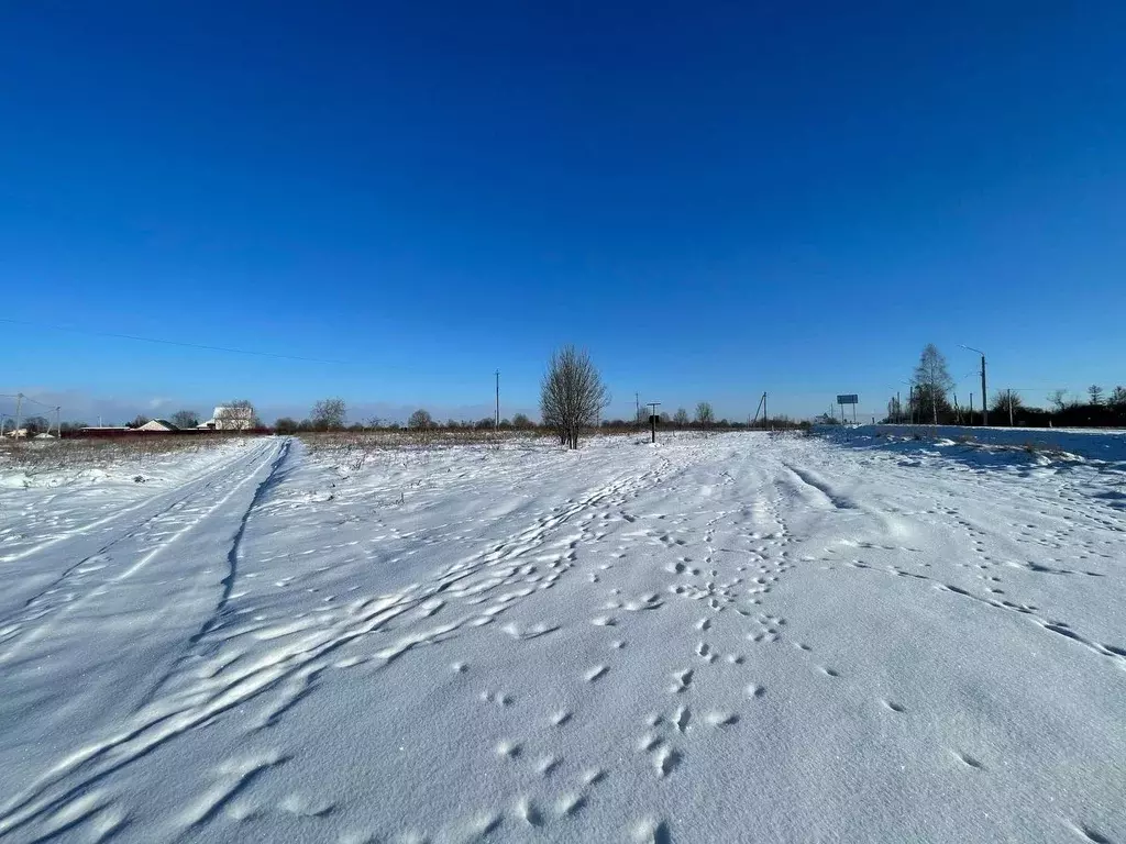 Участок в Псковская область, Псковский район, Логозовская волость  ... - Фото 1