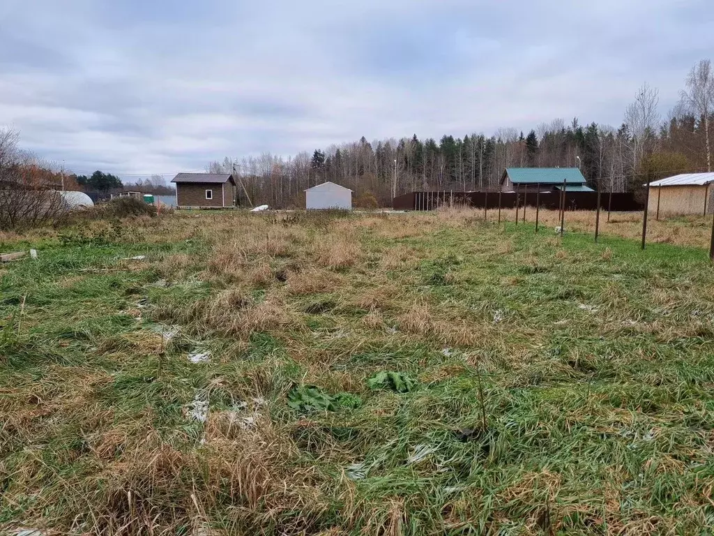 Участок в Ленинградская область, Приозерский район, Мельниковское ... - Фото 1