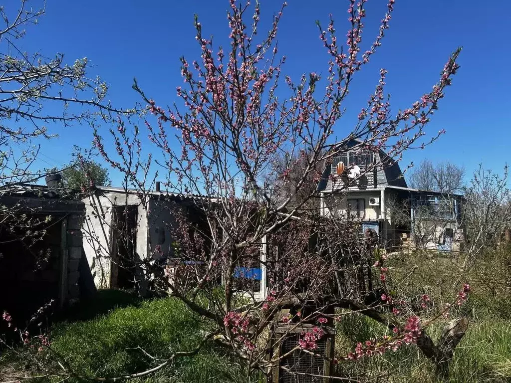 Дом в Крым, Нижнегорское с/пос, Яблонька садоводческое товарищество  ... - Фото 2