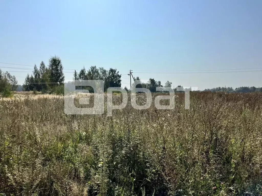 Участок в Костромская область, Костромской район, с. Сущево Заречная ... - Фото 1