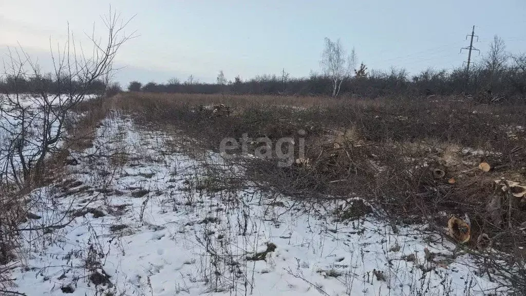 Участок в Курская область, Курский район, Нижнемедведицкий сельсовет, ... - Фото 0