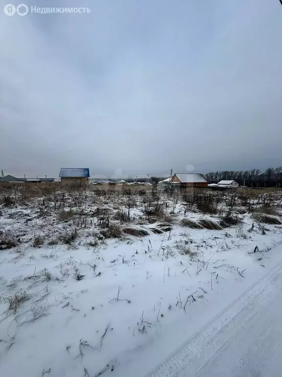 Участок в Московская область, Дмитровский муниципальный округ, КП ... - Фото 1