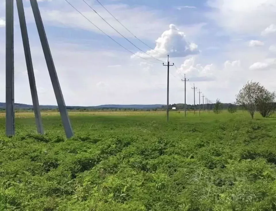 Участок в Московская область, Чехов муниципальный округ, с. Пешково  ... - Фото 1