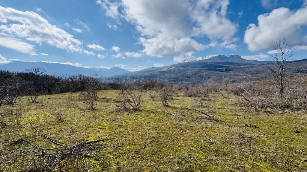 Участок в Крым, Алушта муниципальный округ, с. Лучистое  (163.0 сот.) - Фото 2