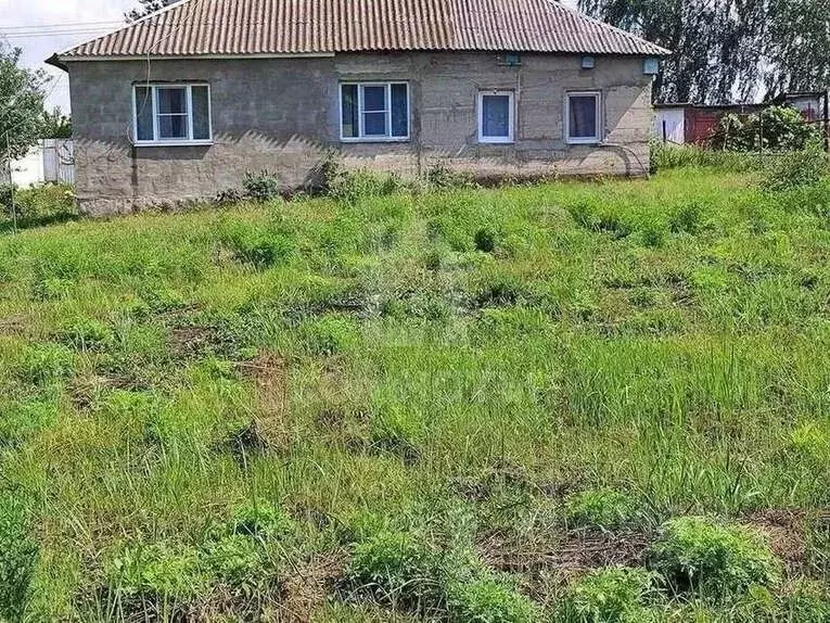 Дом в Воронежская область, Семилукский район, с. Девица ул. ... - Фото 2