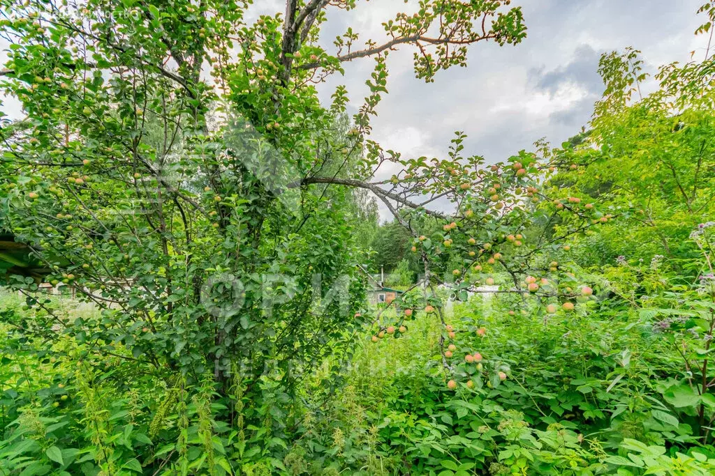 Участок в Екатеринбург, СНТ Шувакишский (4.5 м) - Фото 0