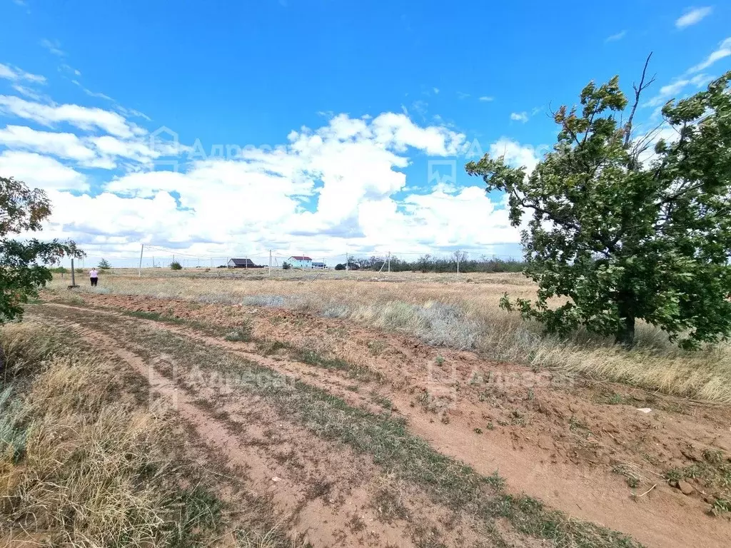 Участок в Волгоградская область, Волгоград ул. Берилловая (7.0 сот.) - Фото 1