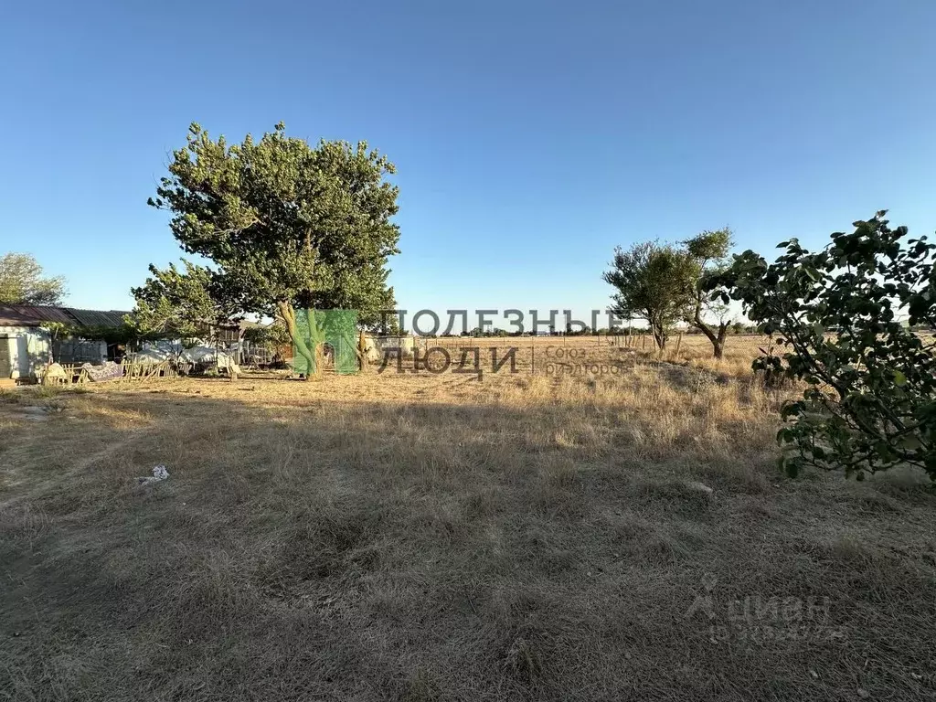 Участок в Крым, Сакский район, с. Воробьево ул. Нижняя (9.8 сот.) - Фото 1