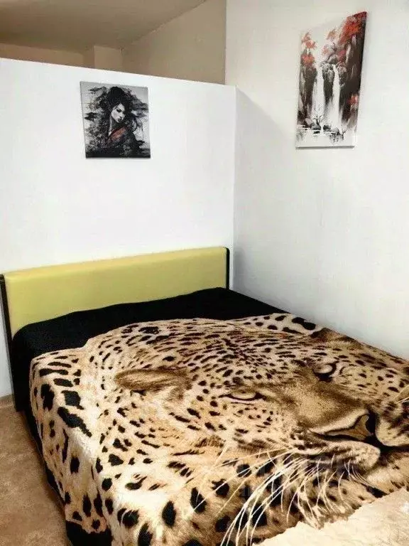 1-к кв. Красноярский край, Красноярск ул. Карамзина, 12 (35.0 м) - Фото 2