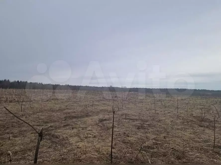 Участок 10,8 сот. (ИЖС) - Фото 1