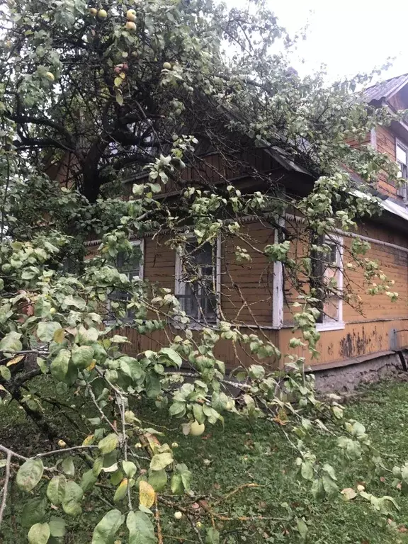 Дом в Санкт-Петербург пос. Стрельна, ул. Нижняя Колония, 35 (114 м) - Фото 1