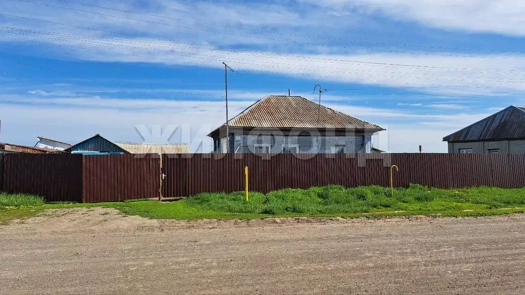 Дом в Алтайский край, Павловский район, с. Шахи ул. Загайнова (31 м) - Фото 0