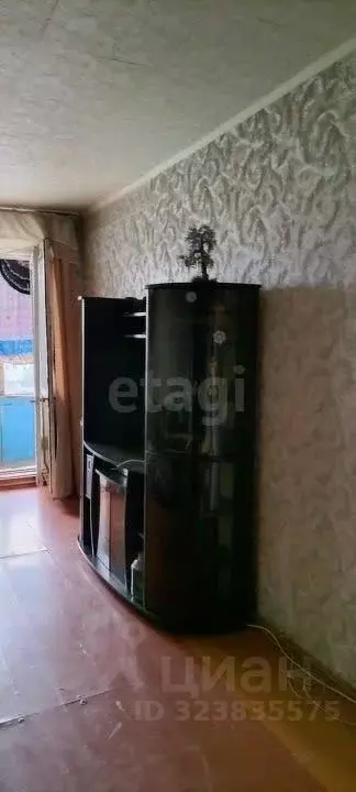 3-к кв. Красноярский край, Красноярск Парашютная ул., 7 (60.0 м) - Фото 1