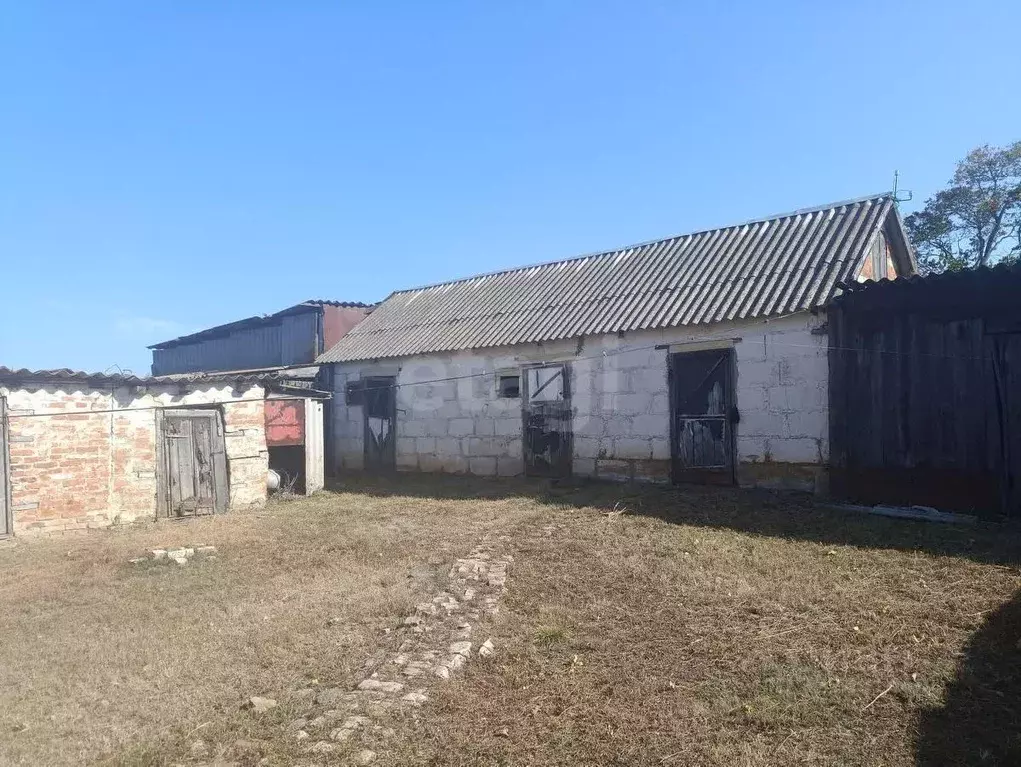 Дом в Белгородская область, Вейделевский район, Закутчанское с/пос, ... - Фото 1