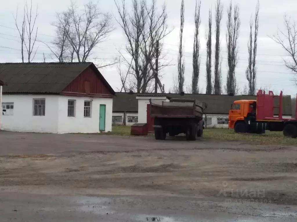 Склад в Воронежская область, Бобровский район, Слободское с/пос  ... - Фото 1