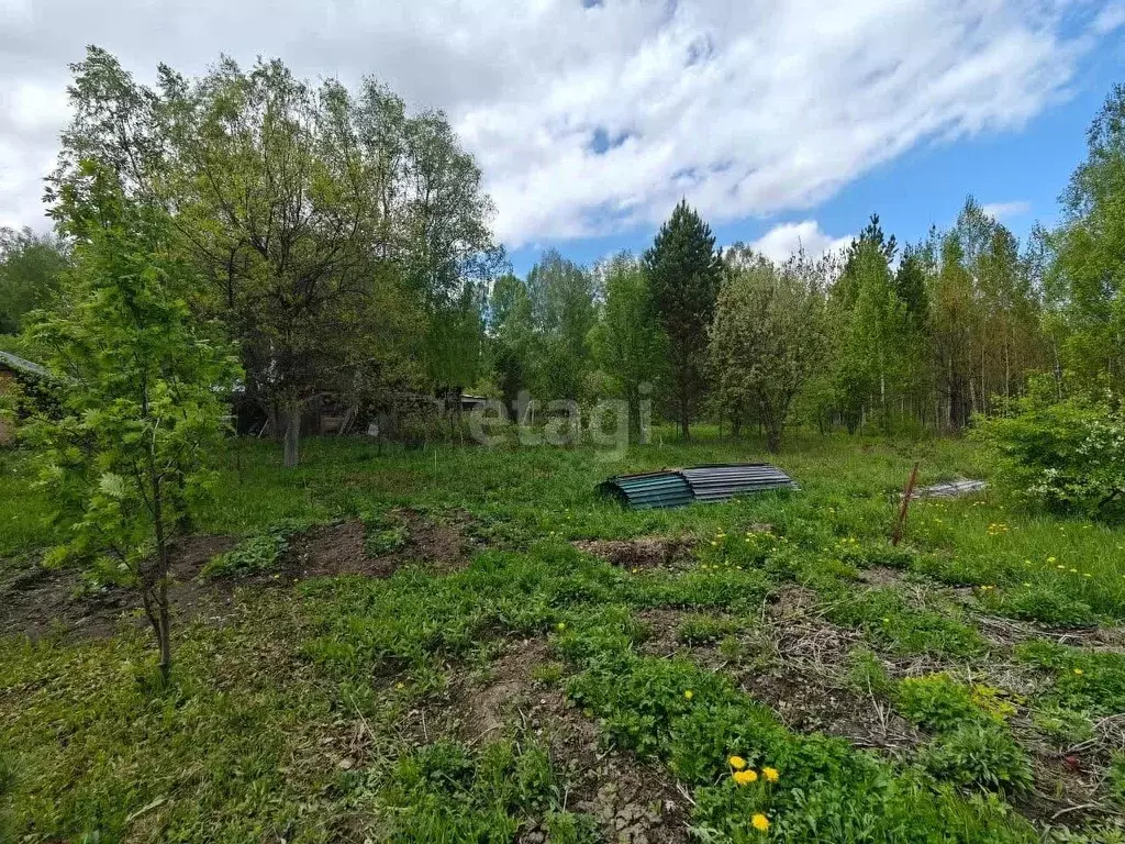 Участок в Новосибирская область, Мошковский район, с. Барлак ул. ... - Фото 1