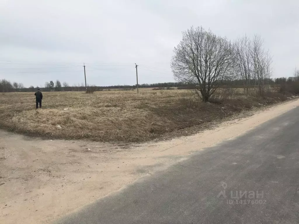 Участок в Новгородская область, Новгородский район, Трубичинское с/пос ... - Фото 0