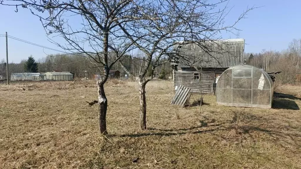 Участок в Ленинградская область, Киришский район, Глажевское с/пос, ... - Фото 1