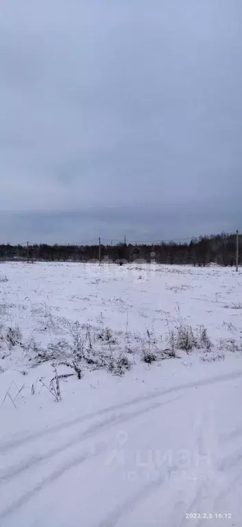 Участок в Калужская область, Перемышльский муниципальный округ, ... - Фото 1