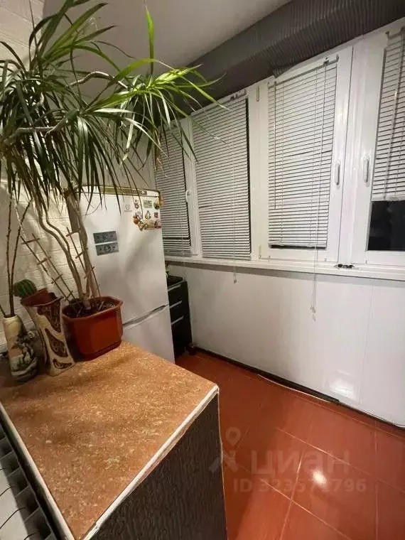 Студия Крым, Феодосия пер. Танкистов, 18А (20.0 м) - Фото 2