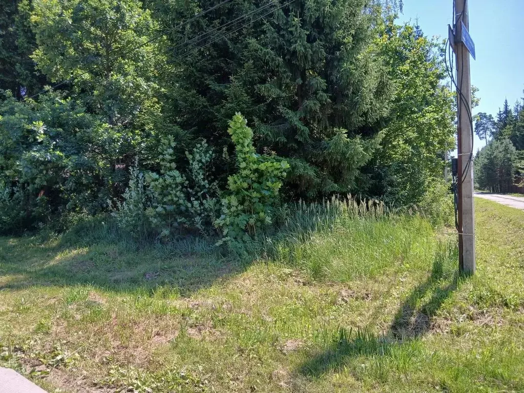 Участок в Московская область, Одинцовский городской округ, д. Сивково, ... - Фото 1