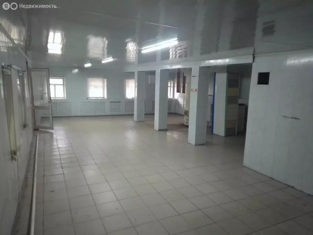 Помещение свободного назначения (124.8 м) - Фото 1