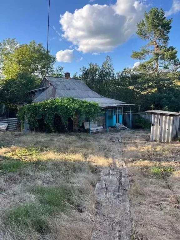 Дом в Белгородская область, Прохоровский район, с. Лучки  (58 м) - Фото 2