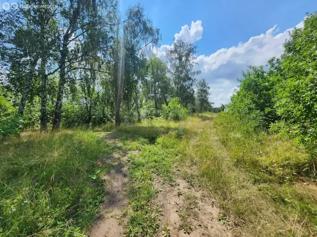 Участок в Белгородский район, Крутологское сельское поселение, село ... - Фото 0