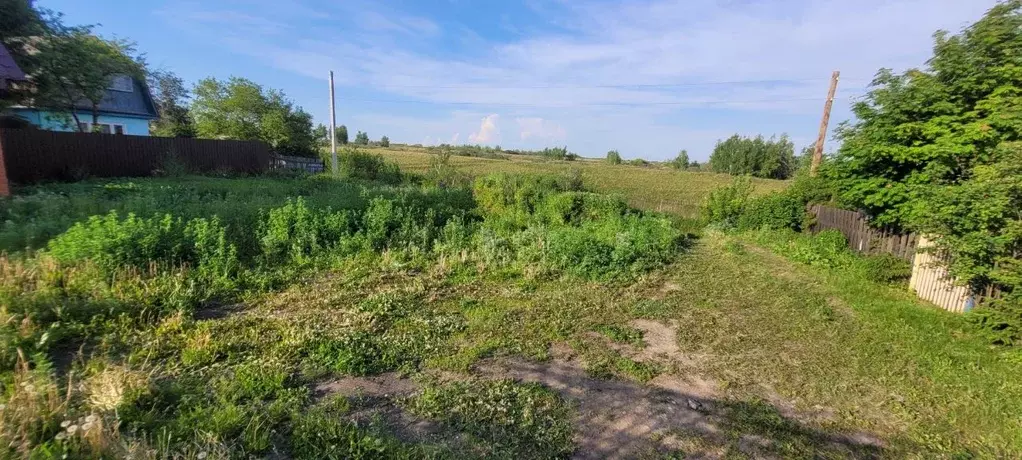 Дом в Омская область, Омск СОСН Механизатор тер., аллея 4-я (50 м) - Фото 1