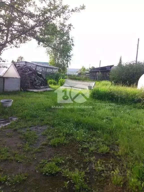 Участок в Новосибирская область, Новосибирск Строитель СНТ,  (5.59 ... - Фото 1