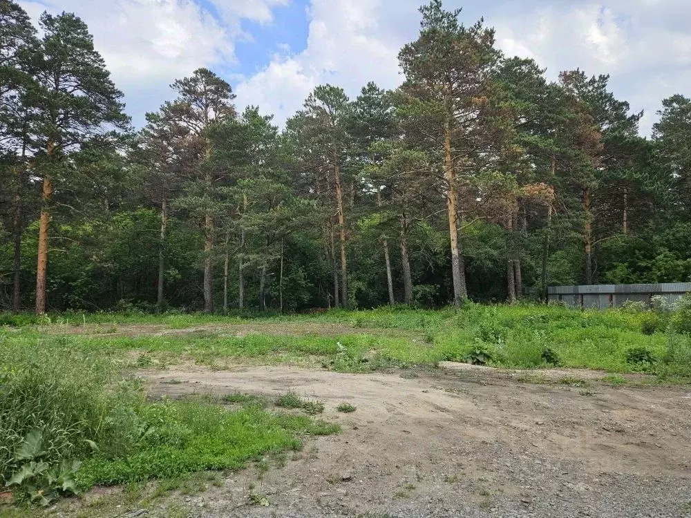 Участок в Новосибирская область, Тогучин ул. Лапина, 1Ж (15.0 сот.) - Фото 1