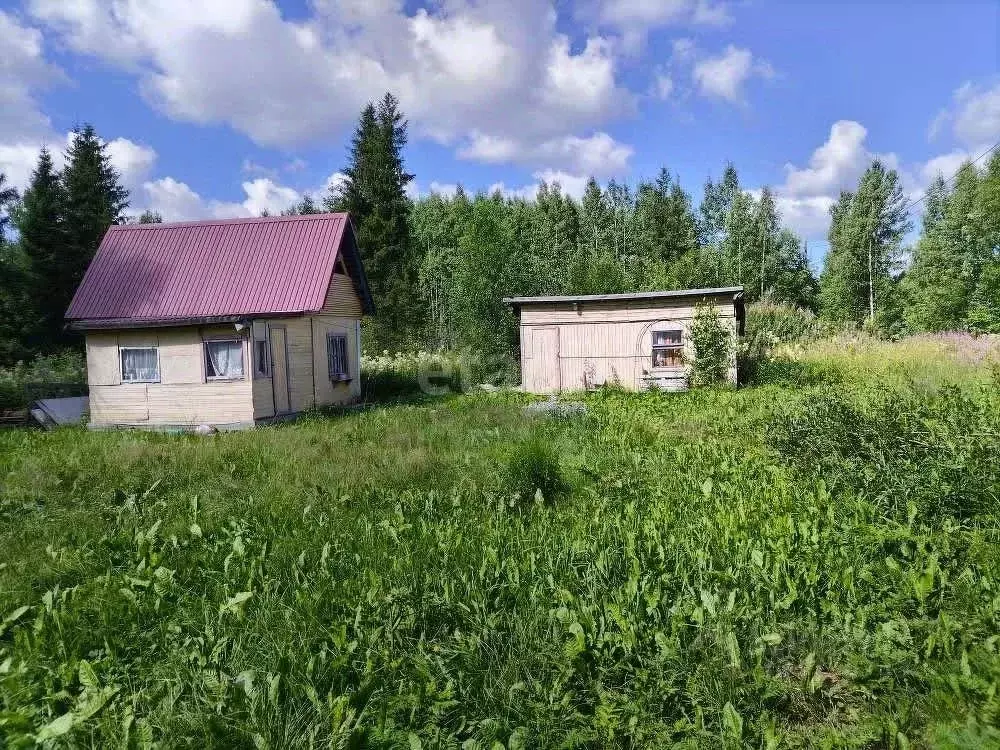 Участок в Карелия, Прионежский район, Деревянское с/пос, Онежец-4 СНТ  ... - Фото 1