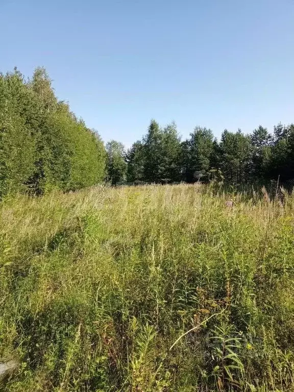 Участок в Свердловская область, Горноуральский муниципальный округ, с. ... - Фото 1