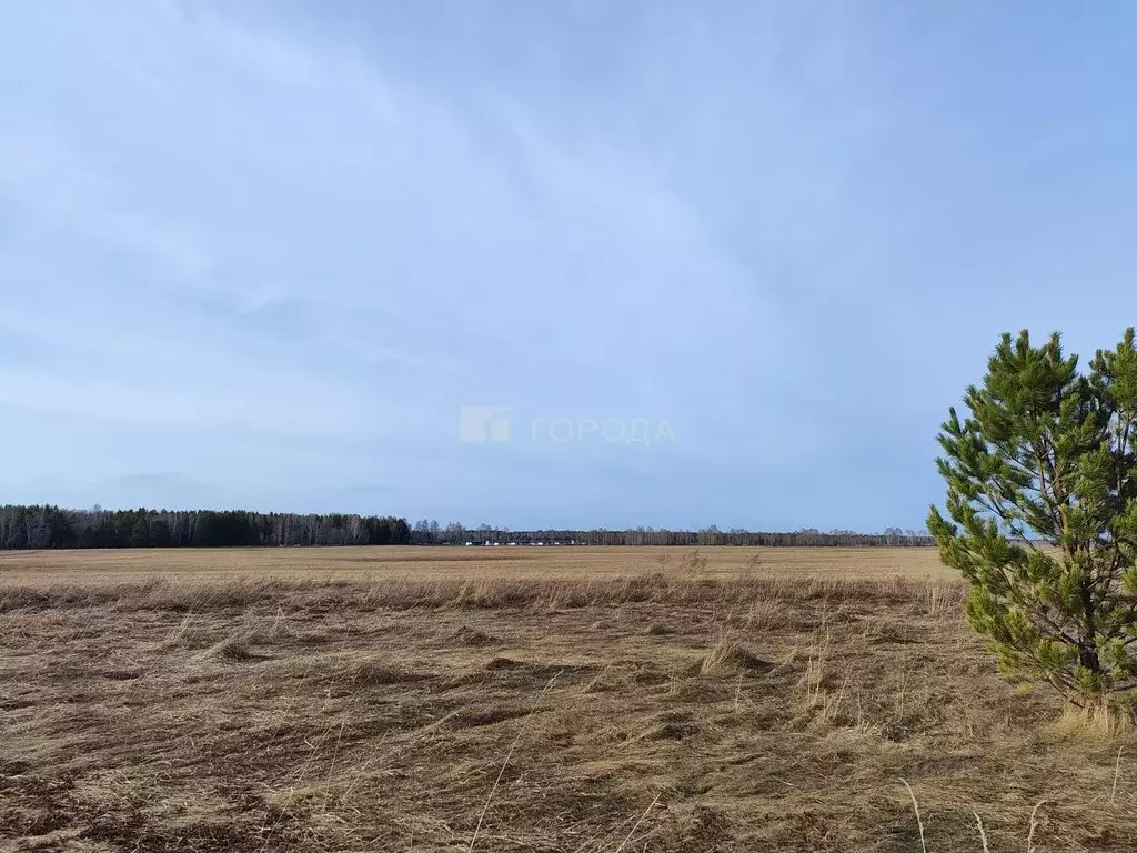 Участок в Алтайский край, Первомайский район, с. Фирсово, Рощино мкр  ... - Фото 0