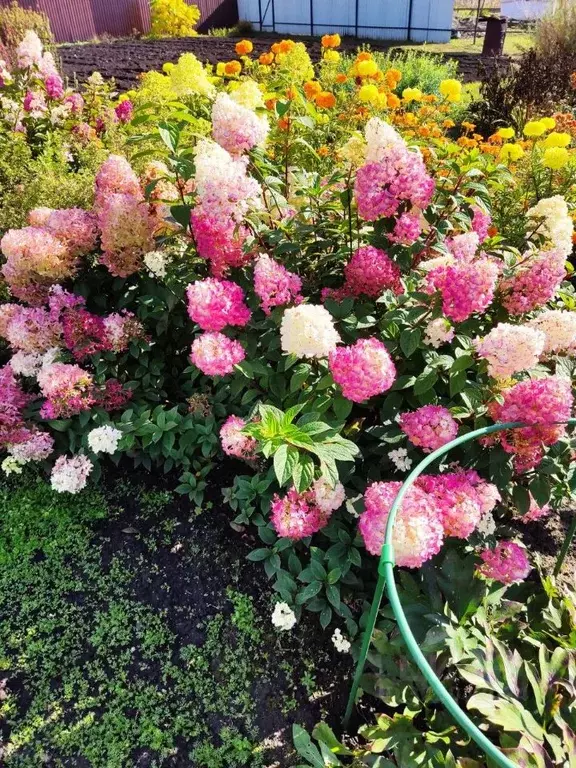 Дом в Красноярский край, Дивногорск городской округ, пос. Манский пер. ... - Фото 2