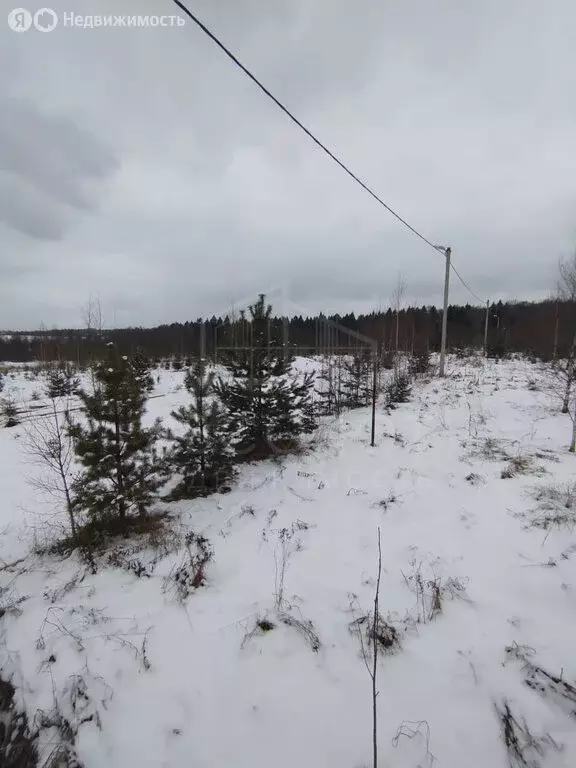 Участок в Сергиево-Посадский городской округ, СНТ Импульс (100 м) - Фото 0