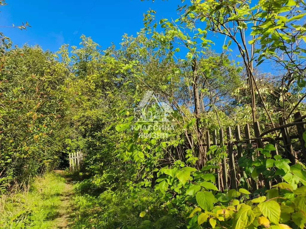 Участок в Нижегородская область, Нижний Новгород Маяк СТ, 535 (6.8 ... - Фото 2