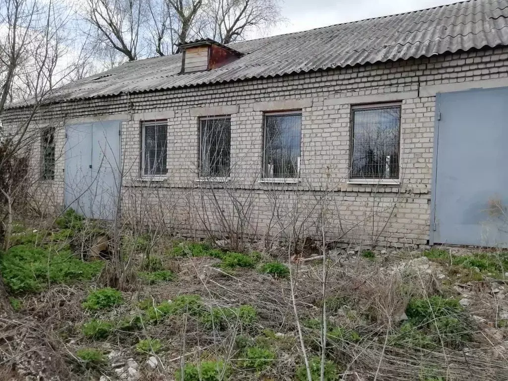Помещение свободного назначения в Воронежская область, Аннинский ... - Фото 1