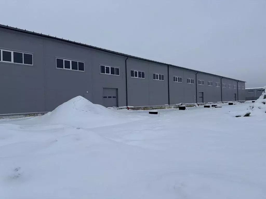 Помещение свободного назначения в Санкт-Петербург пос. Шушары, ... - Фото 2