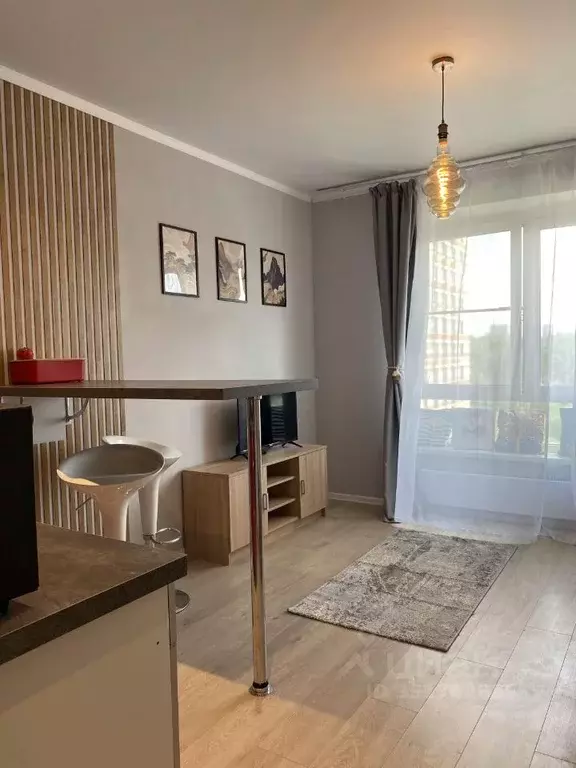 Студия Москва № 100 кв-л, 1к3 (20.0 м) - Фото 2