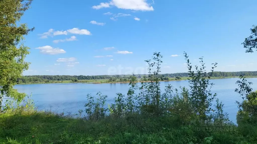 Участок в Ярославская область, Мышкинский муниципальный округ, с. ... - Фото 0