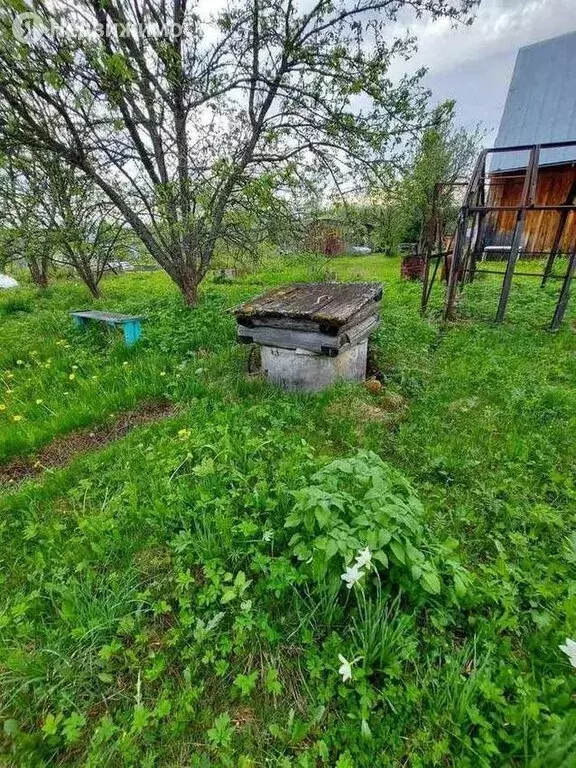 Купить Дачу В Вологодском Районе Молочное