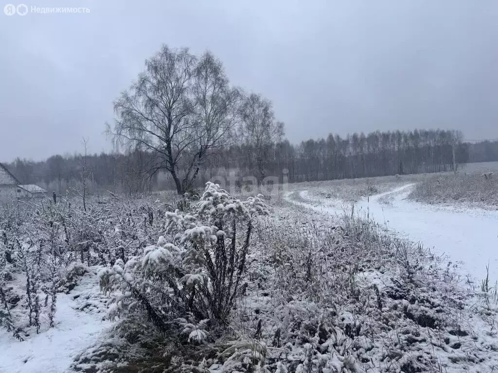 Участок в Нижегородская область, Балахнинский муниципальный округ, ... - Фото 1