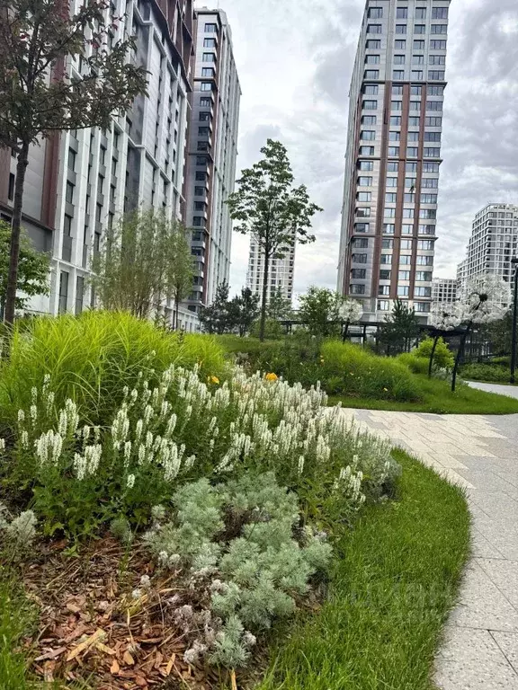 2-к кв. Москва ул. Нижние Мневники, 20 (41.0 м) - Фото 1