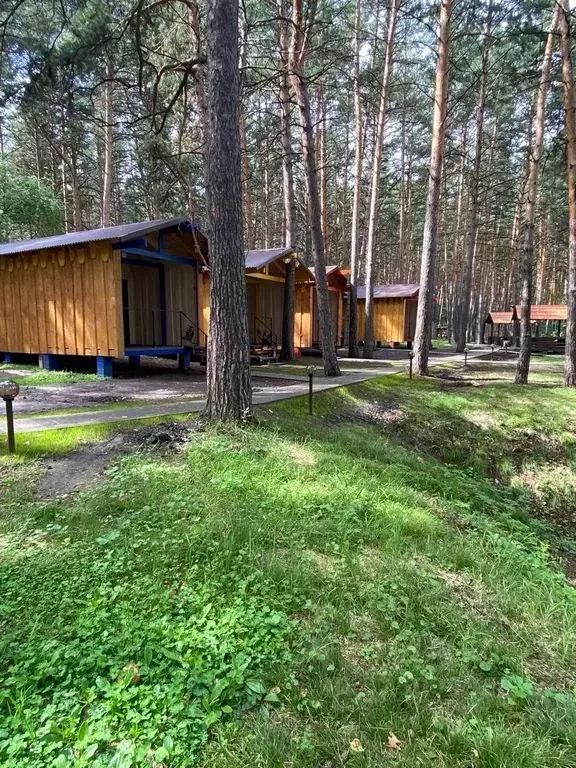 Дом в Новосибирская область, Ордынское рп ул. Кирова, 2/3 (40 м) - Фото 1