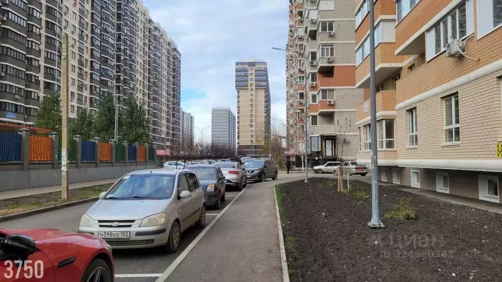 Офис в Краснодарский край, Краснодар ул. Евгении Жигуленко, 7к2 (29 м) - Фото 2