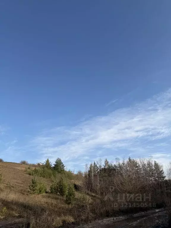 Участок в Белгородская область, Белгородский район, Дубовское с/пос, ... - Фото 1