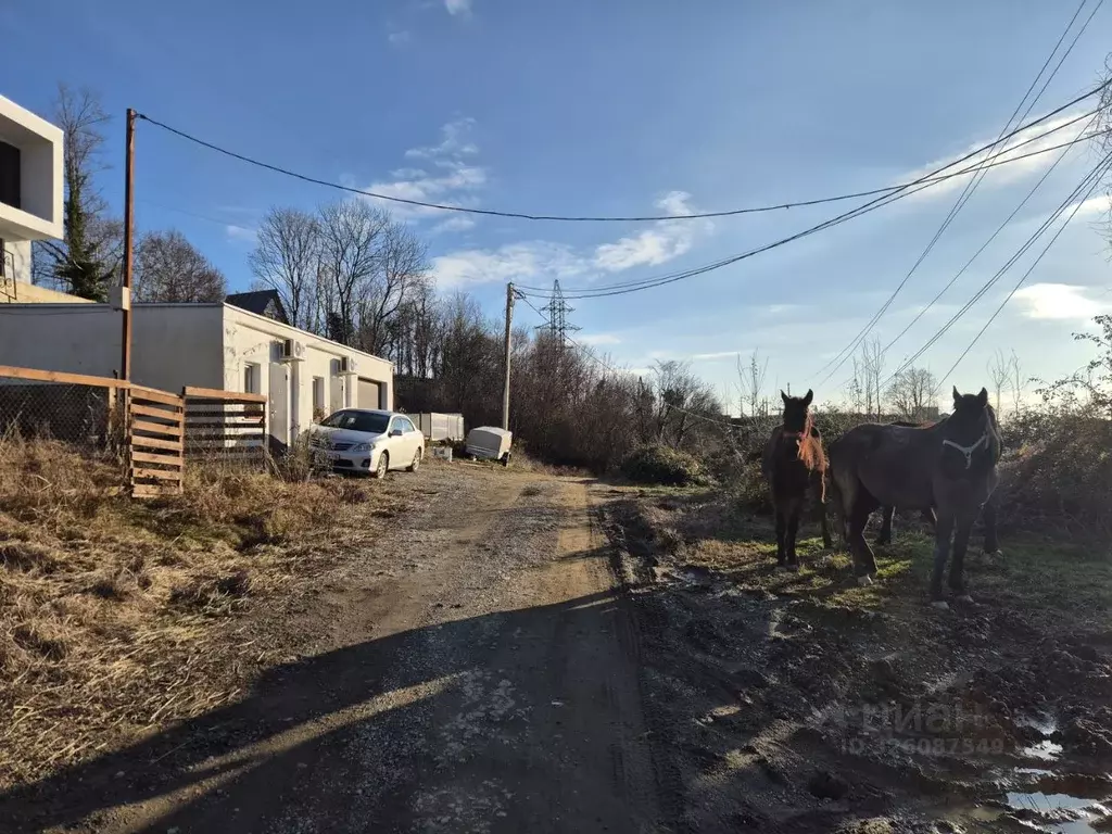 Участок в Краснодарский край, Сочи ул. Енисейская (5.05 сот.) - Фото 2