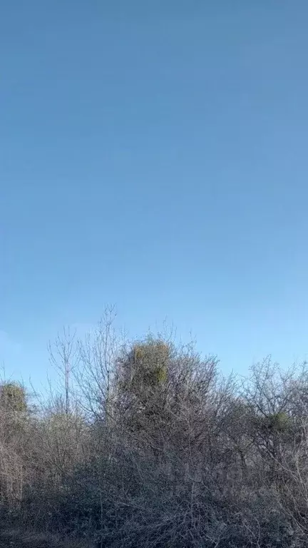 Участок в Крым, Бахчисарайский район, Железнодорожненское с/пос, с. ... - Фото 1